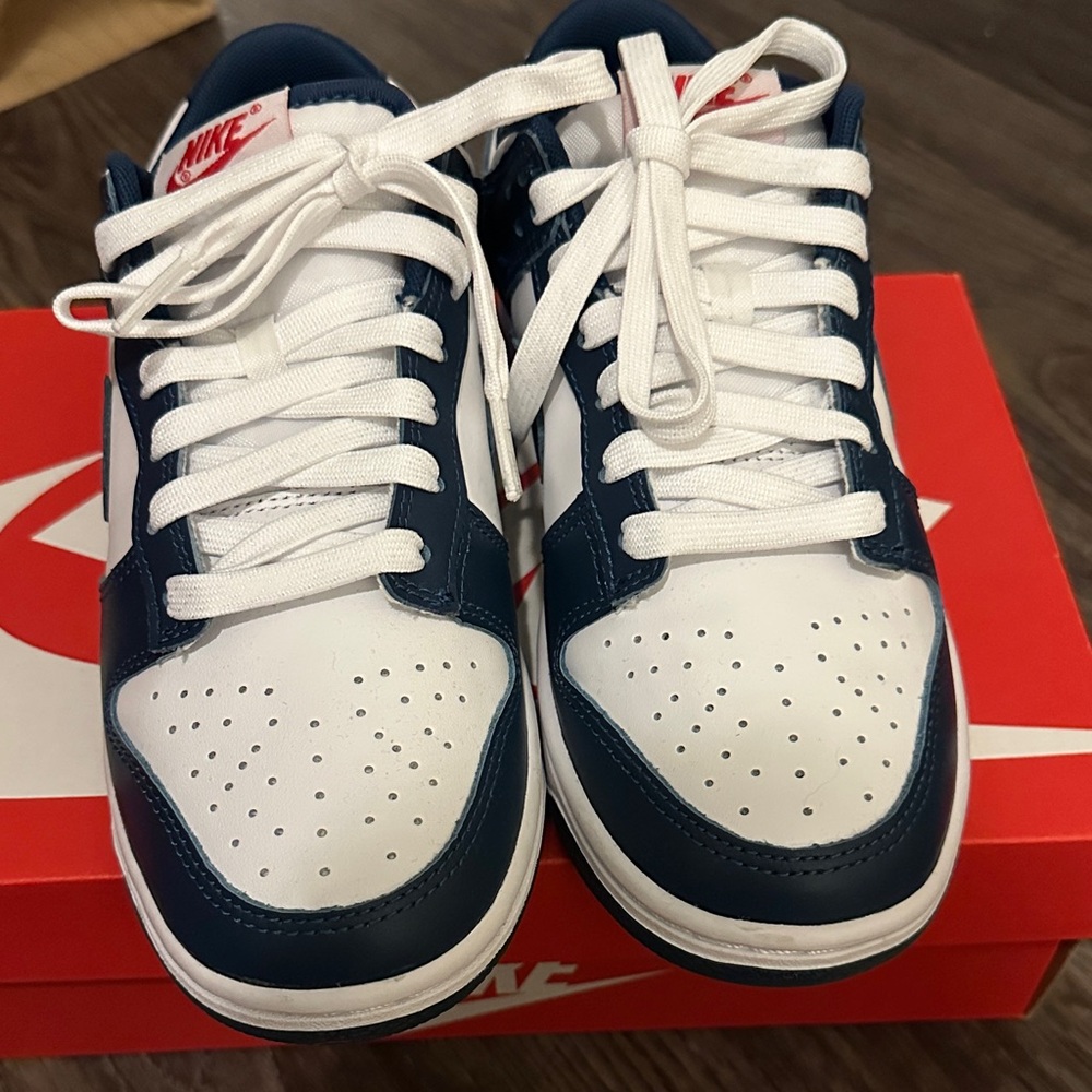 Nike Valerian Blue Dunks M: 6 W: 7.5